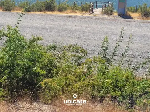 Cholila