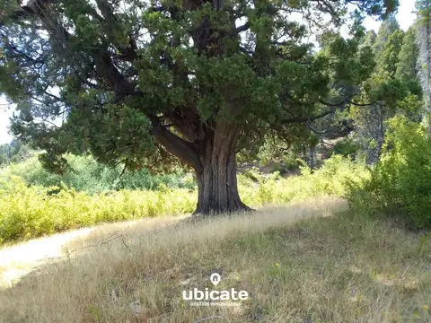 Terreno en Venta de 13294,0 m2