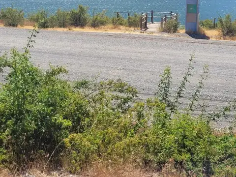 Cholila