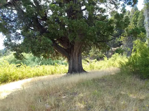 Terreno en Venta de 13294,0 m2