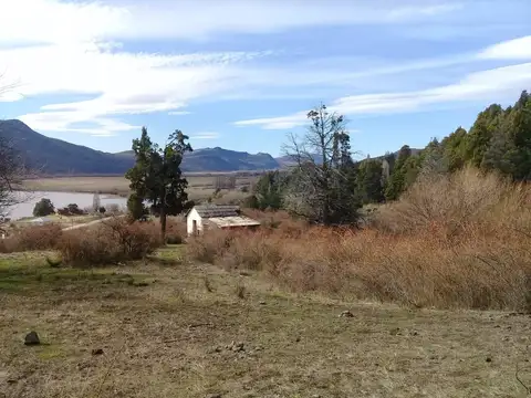 Cholila