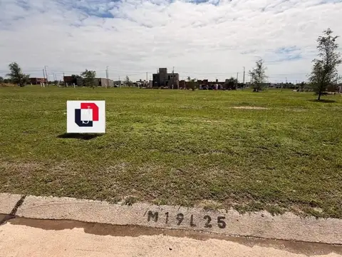 Mza 19