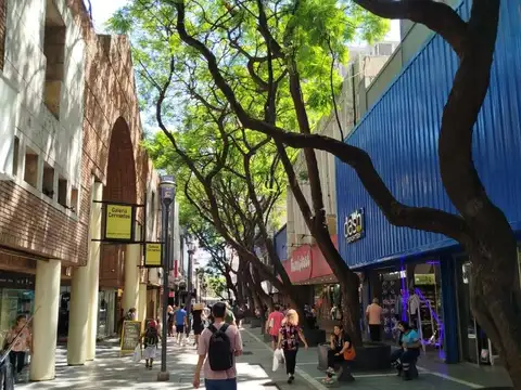 Local en Alquiler en Centro, $ 9.000.000