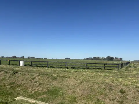 Ruta 205 Km 53, 100 y Camino del 80, (1808) Cañuelas, Buenos Aires.