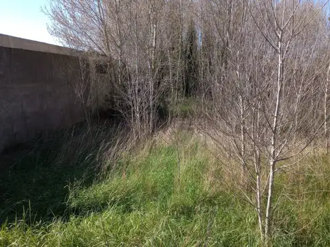 Terreno en Venta en Barrio Libertad, USD 33.000