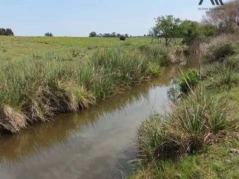 Chacra en venta de 10ha ubicado en San Carlos
