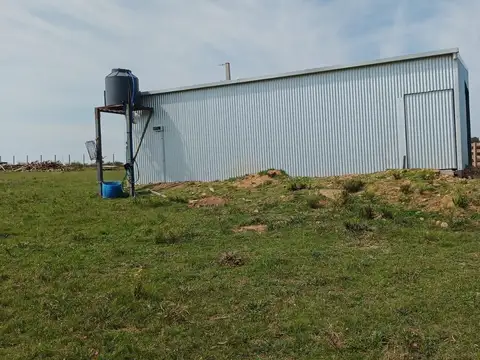 Chacra en venta de 10ha ubicado en San Carlos