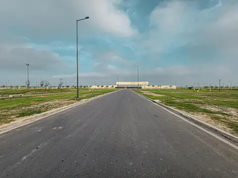 Avenida Fuerza Aerea