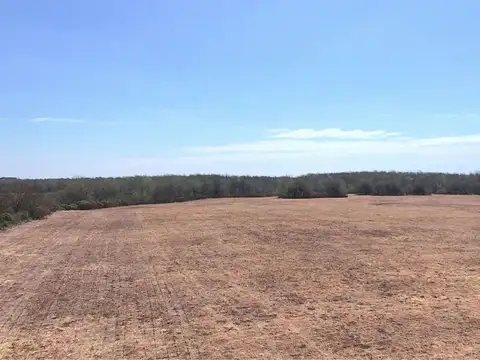 Campo mixto de 19 has con arroyo en Nogoyá