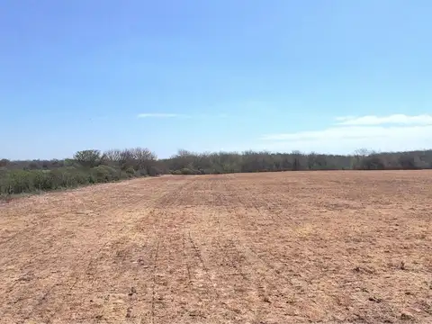 Campo mixto de 19 has con arroyo en Nogoyá