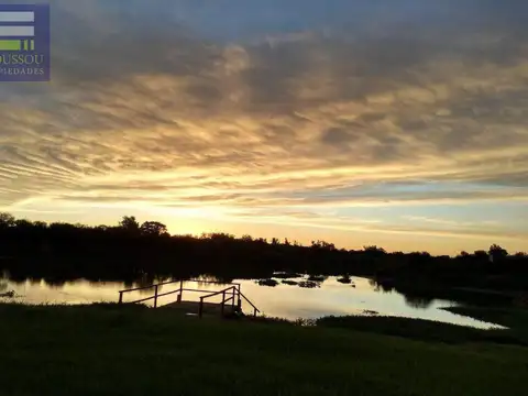 Campo - Paranacito