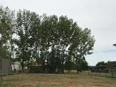 San Matias