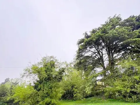 Sierra De Los Padres-bruno 30