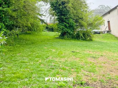 Sierra De Los Padres-bruno 30