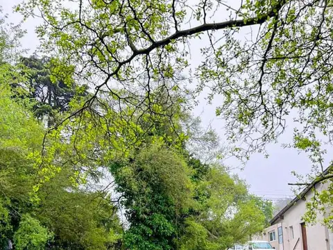 Terreno en Venta de 784,0 m2