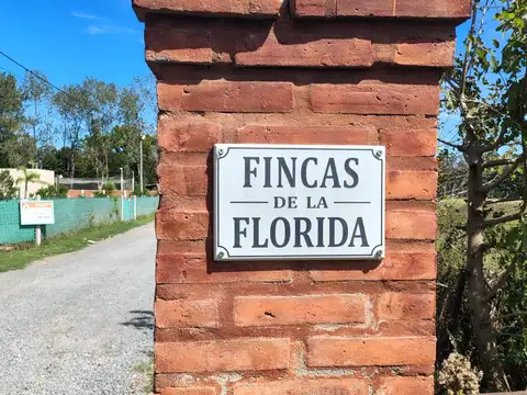 Fincas de la Florida, Zarate