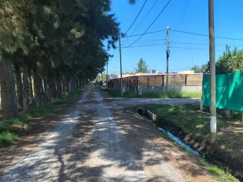 Lote Fincas de la Florida, Zarate.