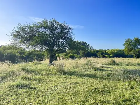 Terreno en Venta 43  mts Frente