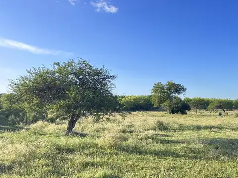 Zona Perucho