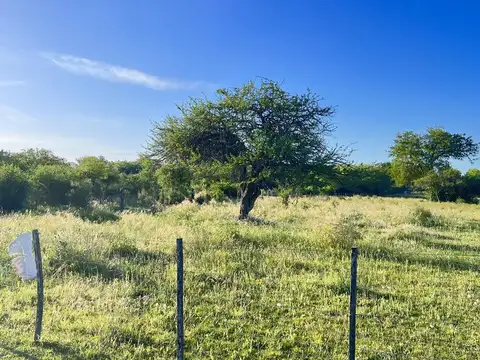 Lote de 1 Hectarea en San José Barrio Perucho