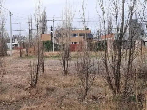 Terreno en Venta de 360,0 m2