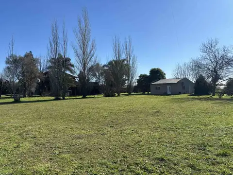Campo en venta en abasto con casa y local
