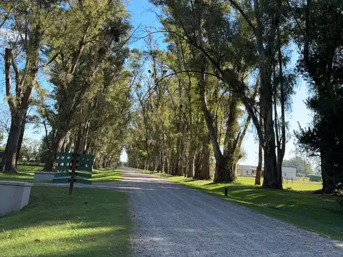 Terreno en venta en Chacras de San Andres