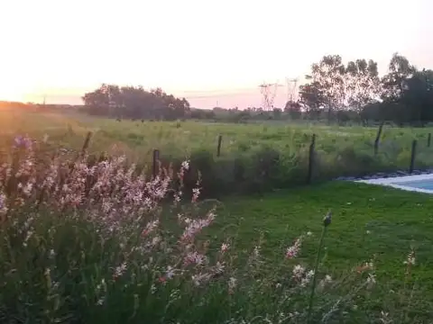 Campo en Alquiler en Asociación Argentina de Polo, Pilar GBA Norte - 6 ambientes