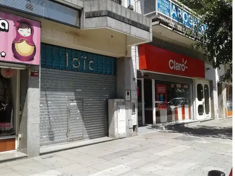 Montiel 100