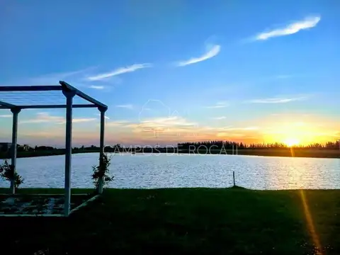 Lote Terreno venta Campos de Roca II