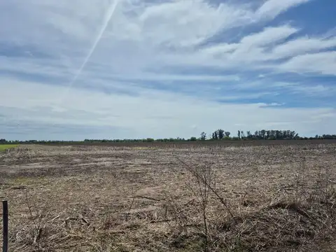 Campo en Maciel