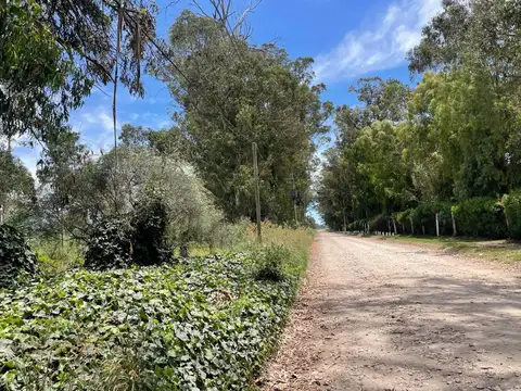 Terreno en Venta en Parque Peña, USD 8.000