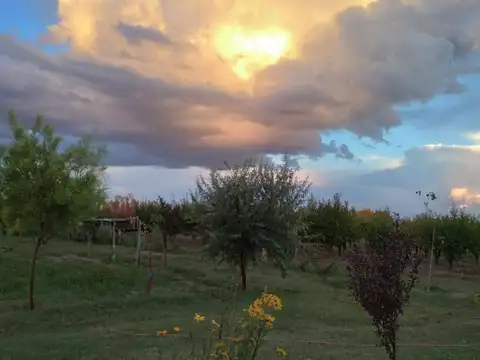 VENTA HERMOSA FINCA BOUTIQUE COLONIA ESPAÑOLA MDZ