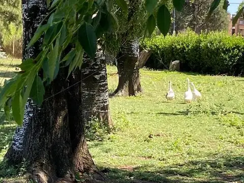 EL OMBU - Lote con fondo a la cancha de golf