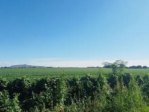 Terreno en Venta de 477000,0 m2
