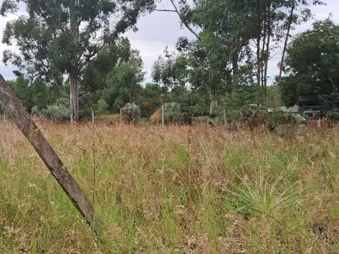 Terreno en Venta 12  mts Frente