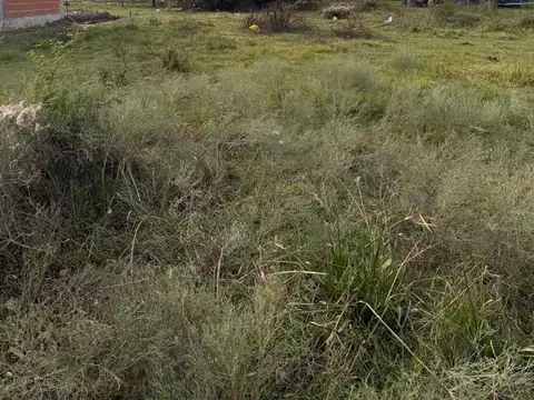 Terreno en Venta en Sauce Viejo, La Capital