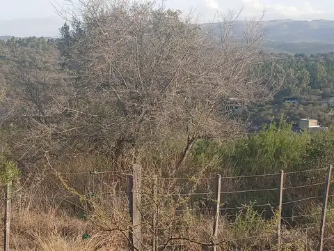 VENTA TERRENO EN FLOR SERRANA, TANTI, CORDOBA. A METROS DEL RIO - CON ESCRITURA