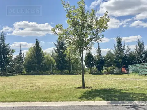 Lote con orientación Noreste perimetral en venta. Tipas, Nordelta.