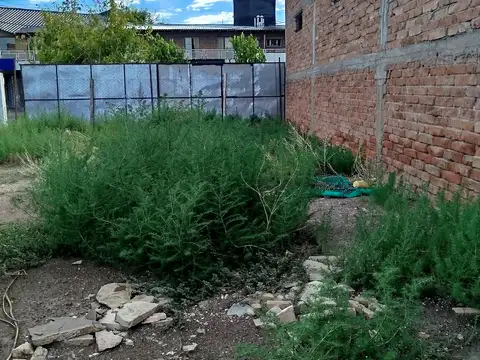Terreno en Venta de 807,0 m2