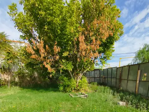 Terreno en esquina sobre Av. Balloffet – 807 m² – Apto desarrollo comercial