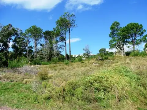 Terreno en Venta de 3001,0 m2