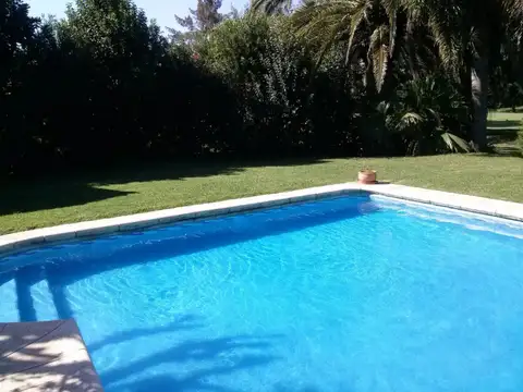 Los Naranjos 100