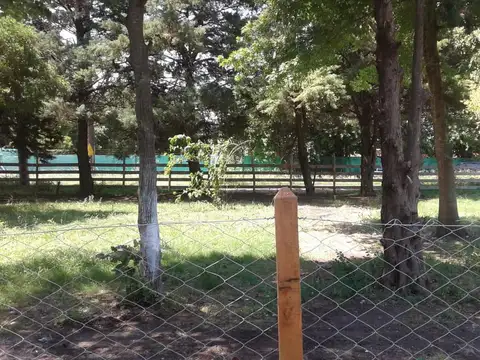 Don Pedro - 38 y 147