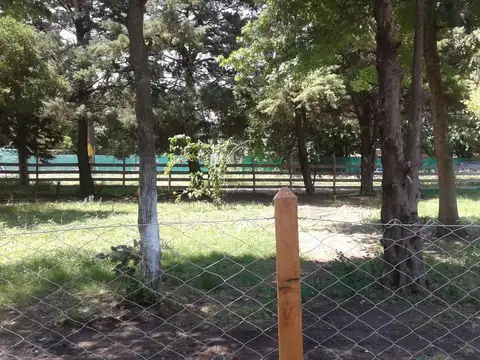 Don Pedro - 38 y 147