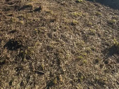 Terreno en Venta de 275,0 m2