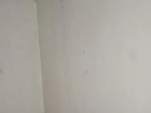 Galpon en Venta 25  mts Fondo