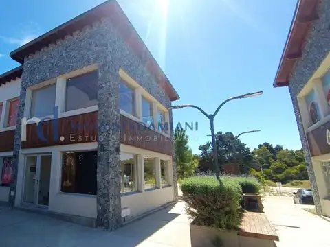 Paseo Comercial 100
