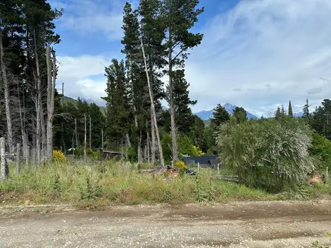 Bajada Selva Negra 300