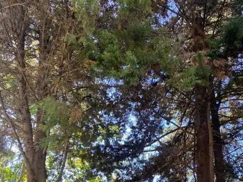 Terreno en Venta en Club Miralagos, USD 75.000